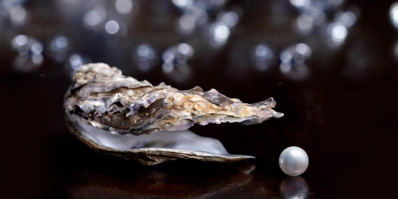 Pearl Meaning and Symbolism: The Myths Behind These Sea Gems