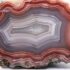 Tree Agate (Dendritic Agate) Meaning and Properties